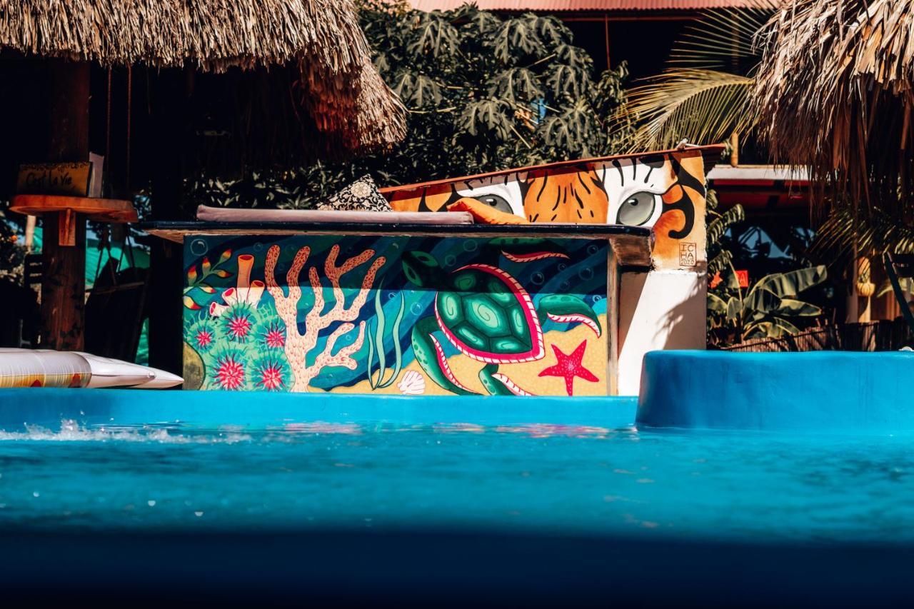 El Zoo Hostel, Bar & Pool Palomino Dış mekan fotoğraf